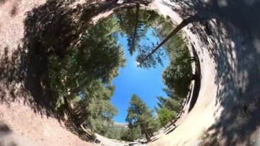 Angeles Ormanı Bisikletli Balık Gözü 360 Derece POV 03 California ABD