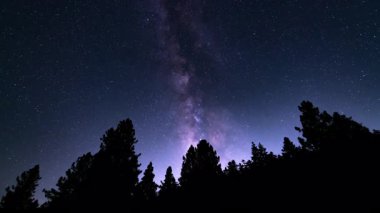 Samanyolu Galaksisi Orman Astrofotografı 15 mm Zaman Hızı