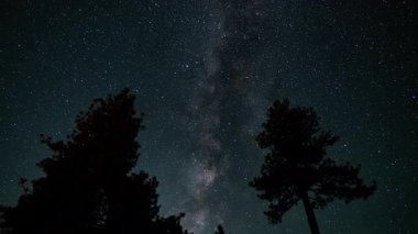 Güney Gökyüzünde Samanyolu Galaksisi Çam Ağaçlarının Üzerinde 24 mm Astrofotoğrafçılık: Zaman Hızlandırılmış Kaliforniya ABD