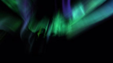 Aurora Sihirli Yolculuk Animasyon Yeşil ve Mor