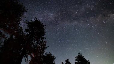 Samanyolu Galaksisi Doğu Gökyüzü 'nde Ağaçların Üzerinde Kamp Ateşi 24 mm Astrofotoğrafçılık: Zaman Hızlandırılmış Kaliforniya ABD