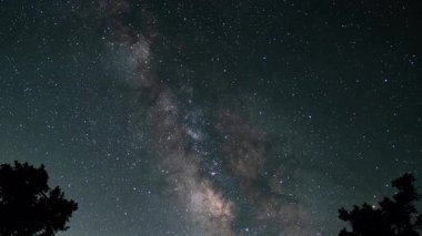 Samanyolu Galaksisi: Güneydoğu Gökyüzü: Orman Astrofotografı Zaman aşımı ABD