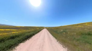 Carrizo Plakası Ulusal Anıtı Süper Çiçekler Yoldan Çıktı Ön Plaka Görünümü Kaliforniya 03 ABD