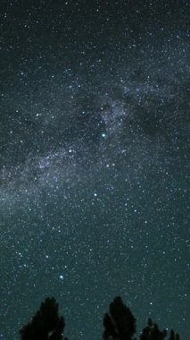 Samanyolu Galaksisinin Dikey Çekimi ve Batı Gökyüzü 'nde Gündoğumu Dağ Ormanı Astrografisi Kaliforniya ABD