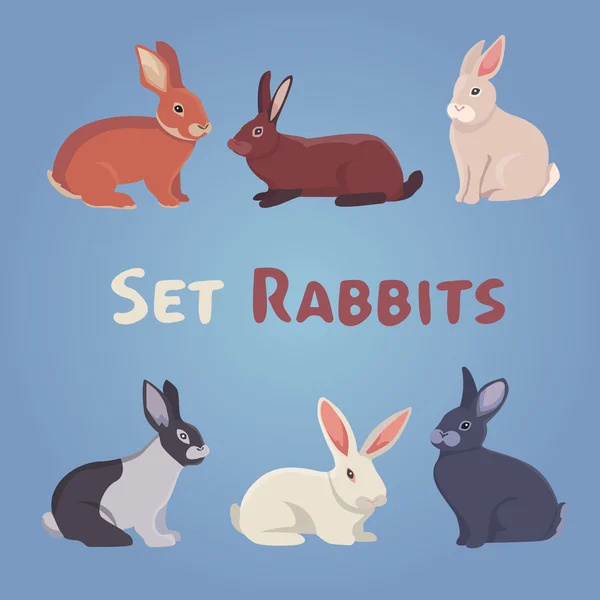 Vector ilustración de conejos de dibujos animados — Vector de stock