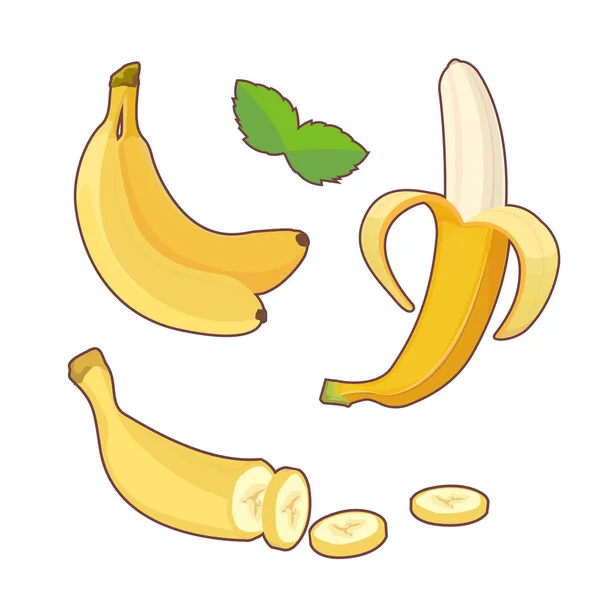 Fresh banana fruits, collection of vector illustrations. Peeled and sliced bananas. Cartoon illustration. — Stock Vector