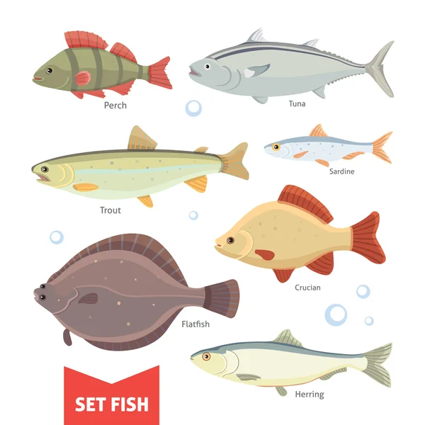 Collection de poissons d'eau douce isolés sur fond blanc. Illustration vectorielle Set Fish . — Image vectorielle