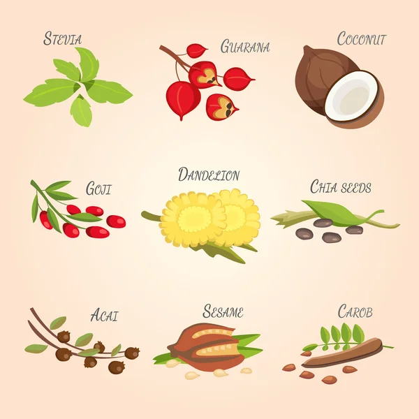 Set van Vector cartoon superfoods. Vers fruit schets achtergrond. Illustratie voor uw ontwerp. — Stockvector