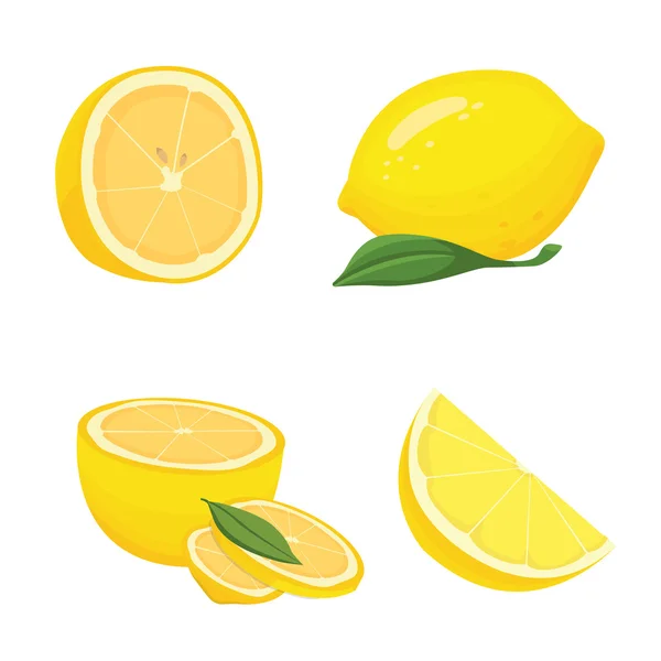 Colección de limones en rodajas — Stock vektor