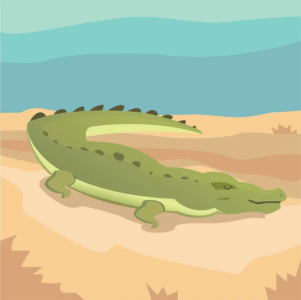 Crocodile isolé Crtoon — Image vectorielle