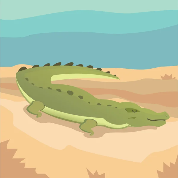 Cocodrilo aislado Crtoon — Vector de stock