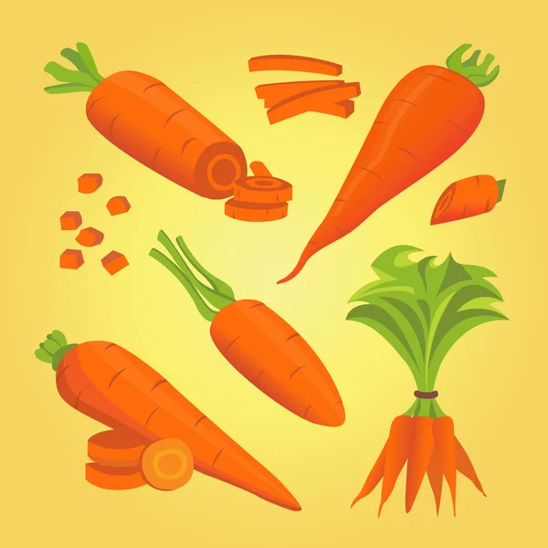 Set zanahoria vector ilustración — Vector de stock
