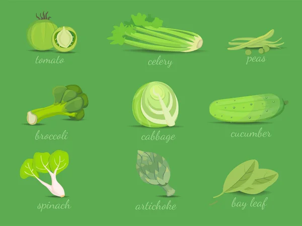 Set of green vegetables vector collection. — Stock Vector