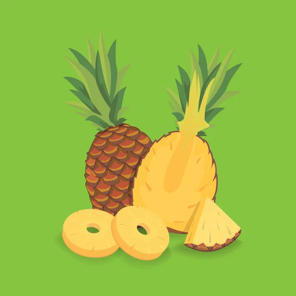 Fresh sliced pineapple vectorr illustration — Stock Vector