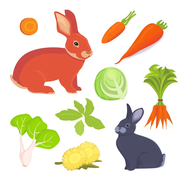Hare and rabbit cartoon illustration. Rabbits food vector collection — Stock Vector