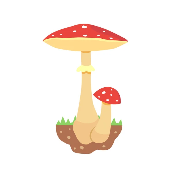 Amanita poisonous mushroom, isolated vector amanita on white background. — Stock Vector