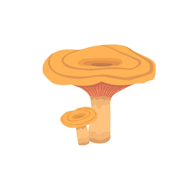 Illustration vectorielle du champignon Chanterell. Caricature chanterell — Image vectorielle