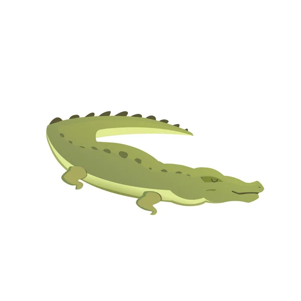 Crocodile mignon vecteur isolé. crocodile vert dessin animé — Image vectorielle