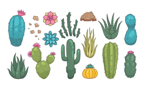 Cactus en sappige planten vector pictogrammen in cartoon stijl. Home planten cactussen geïsoleerd op witte achtergrond. — Stockvector