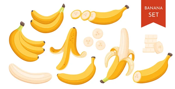 Sada kreslených ilustračních žlutých banánů. Jednoduchá banánová slupka a svazky čerstvých banánových plodů. Royalty Free Stock Ilustrace