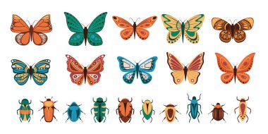 Beyaz arka planda izole edilmiş kelebek ve böceklerin vektör çizimi. Soyut kelebekler, renkli uçan böcekler..