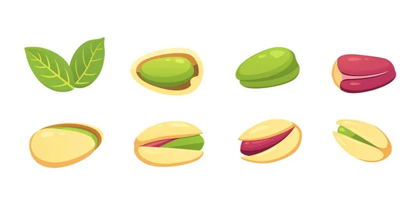 Set illustrazione vettore dado pistacchio in stile cartone animato. Alimenti biologici . — Vettoriale Stock