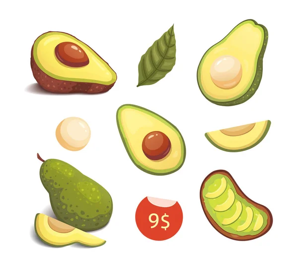 Ställa realistiska färsk avokado frukt. Skiva och hela avokado. Vegansk mat vektorillustration i tecknad stil. — Stock vektor