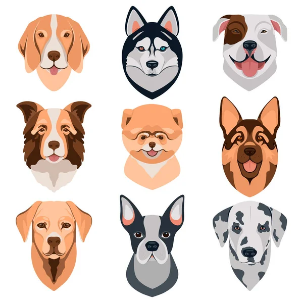 Perro diferentes razas cabeza iconos. Caras de perro de dibujos animados. Ilustración vectorial aislada en blanco. Doggy diferentes razas cabezas. Gráficos Vectoriales