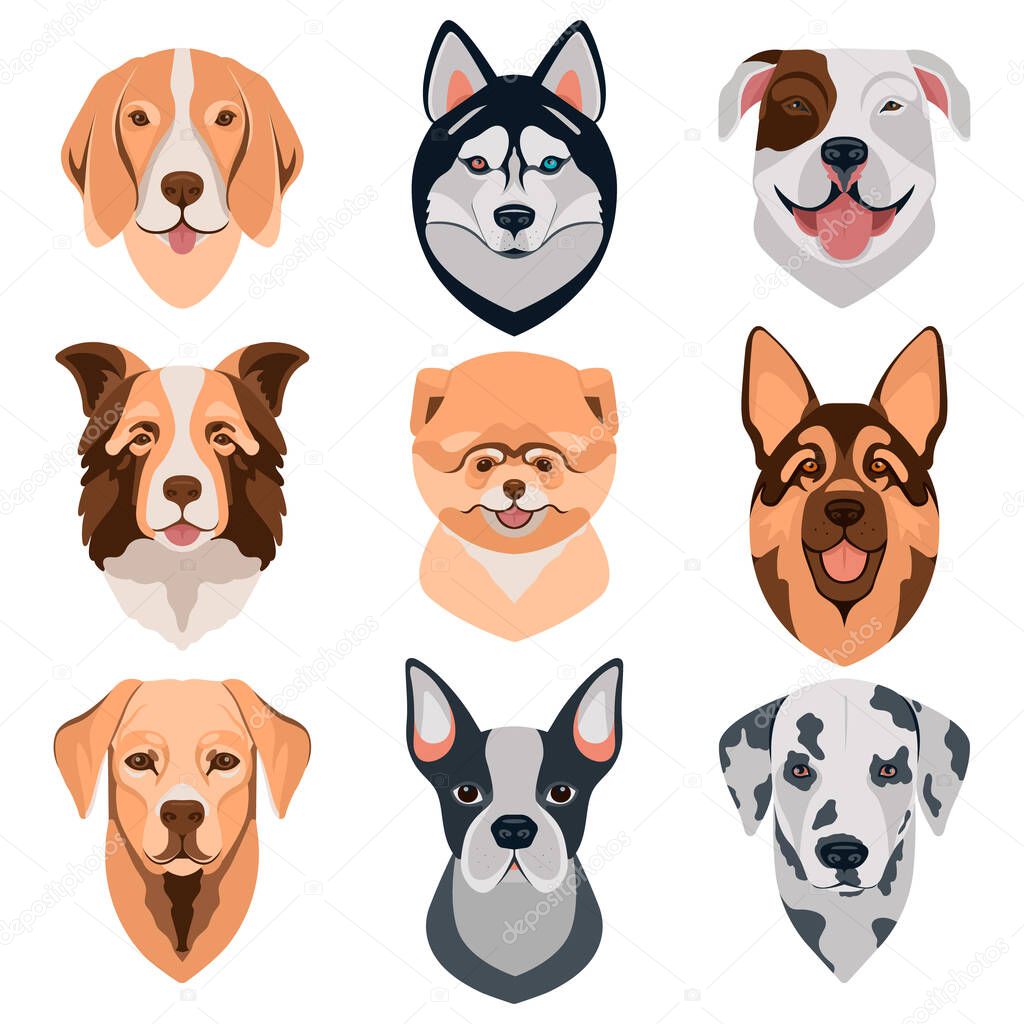 Dog different breeds head icons. Cartoon dog faces set. Vector illustration isolated on white. Doggy different breeds heads.