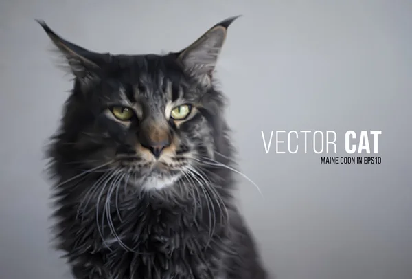 Vektor fotorealistische Katze Maine Coon. strenge Optik und schwarze Wolle — Stockvektor