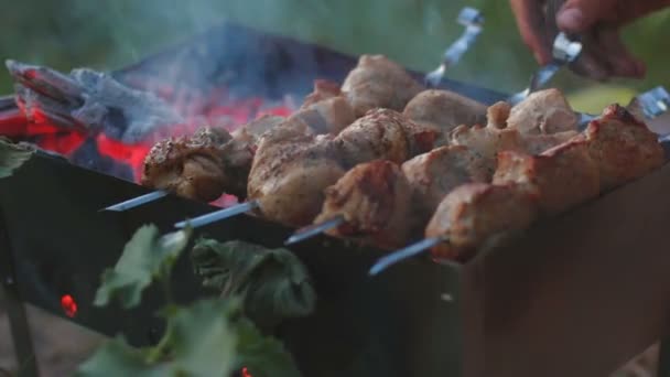 Gegrilltes Fleisch über einem Bräter auf die Natur lizenzfreies Stockvideo