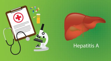 Hepatit a tıbbi rapor mikroskop tıp karaciğerde