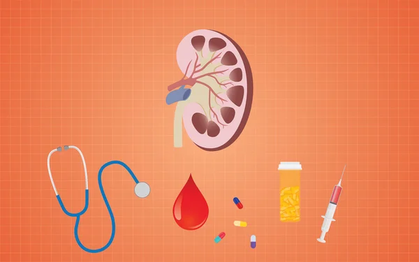 Salud renal con herramientas de medicina como píldoras estetoscopio jeringa de sangre — Archivo Imágenes Vectoriales