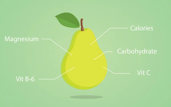 Päron nutrition illustration med lista av Näringschef detalj — Stock vektor