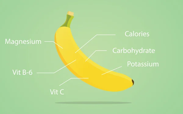 Illustration zur Ernährung von Bananen mit detaillierter Liste der Nährstoffe — Stockvektor