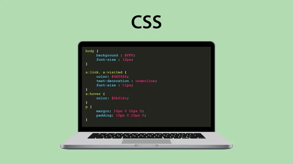 Css cascading style sheet programming with laptop and script code — Stock Vector