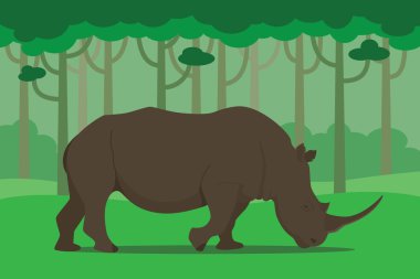 Gergedan ortasında orman çim yeme