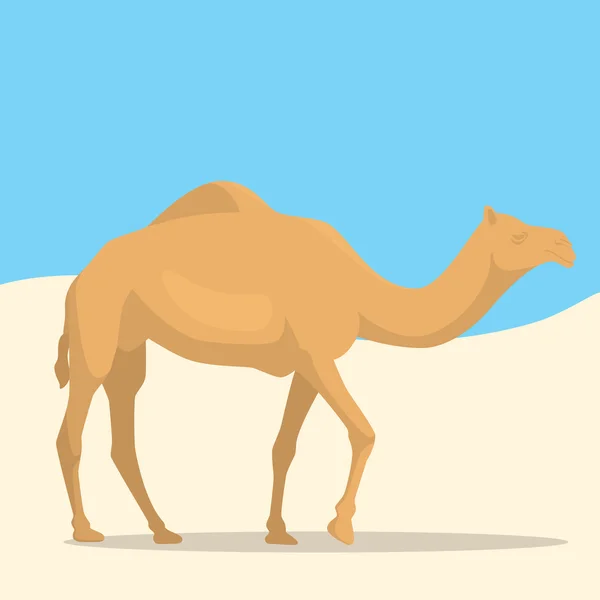 Camel in desert with sand and clear sky — Stock Vector