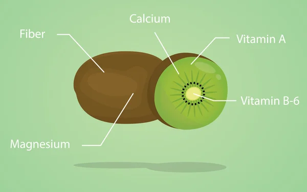 Kiwi-Ernährungserklärung mit flachem Stil — Stockvektor