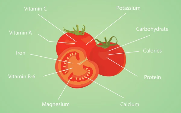 Tomato tomatoes nutrition nutrient data information vitamin calories vector graphic — Stock Vector