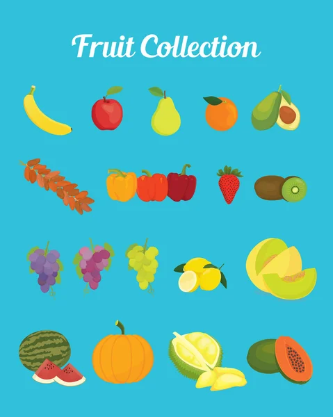 Imágenes de la colección de frutas con gráfico vectorial de color brillante — Archivo Imágenes Vectoriales
