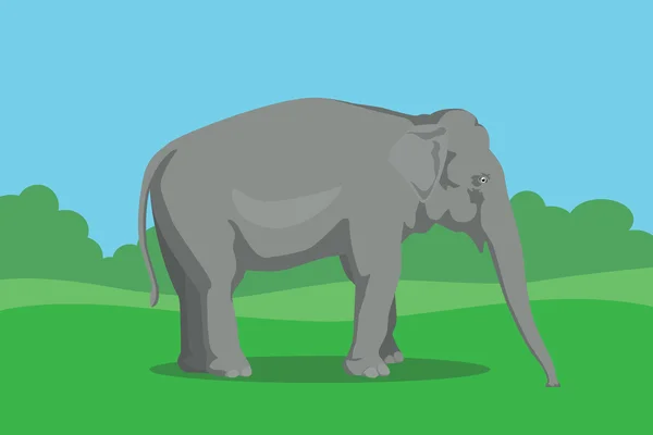 Éléphant simple isolé avec arbre et buisson arrière-plan vectoriel illustration graphique — Image vectorielle