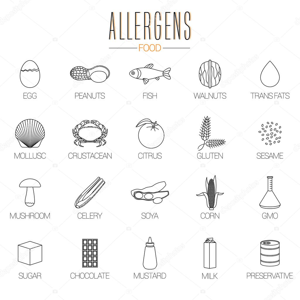 Set of vector food allergens symbols information