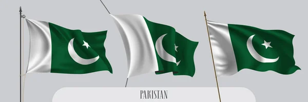 Набор Пакистанского Флага Изолированной Фоновой Векторной Иллюстрации Зеленых Белых Пакистанских — стоковый вектор