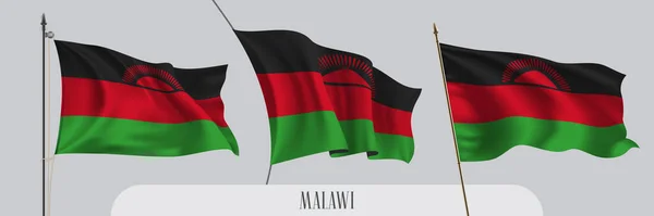 Conjunto Bandeira Ondulada Malawi Ilustração Vetorial Fundo Isolada Preto Verde — Vetor de Stock