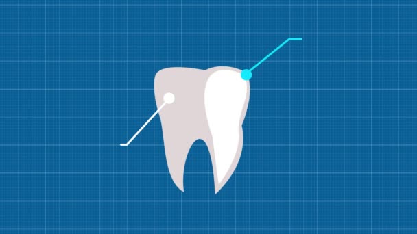 Human tooth, with callouts, shelves for your text. Cartoon tooth on tracing paper. Tooth in profile. Hand-drawn tooth — Αρχείο Βίντεο