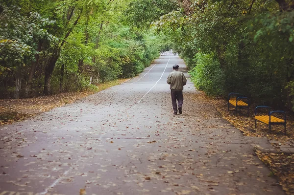 An elderly man is walking trough the park in the early morning.