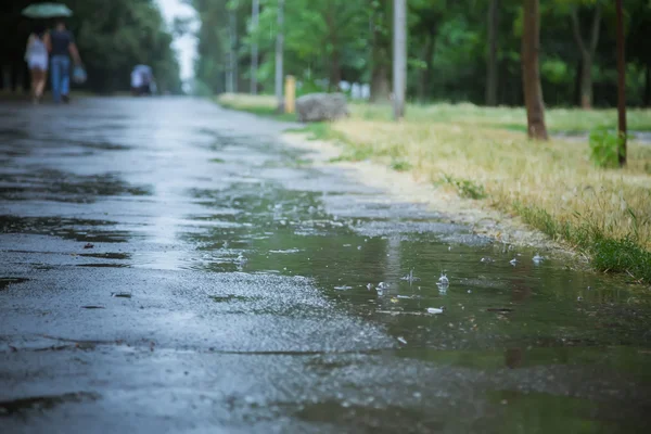 Pioggia estiva. Pioggia che cade. Gocce di pioggia. Pozzanghere con bolle sul marciapiede . — Foto Stock