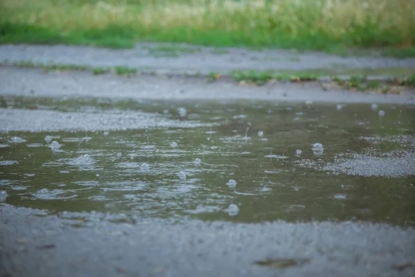 Letní déšť. Padající déšť. Dešťové kapky. Puddle s bublinkami na chodníku. — Stock fotografie