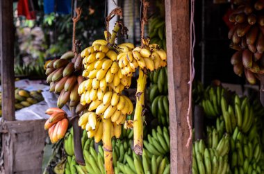 Muz Sri Lanka satışa büyük demet